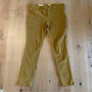 Anthropologie Pilcro Serif Corduroy Skinny Jeans Size 32
